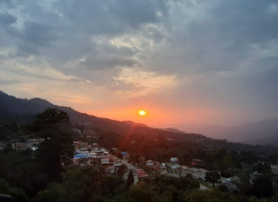 colombia/tolima-department/shop/barrio-el-oasis