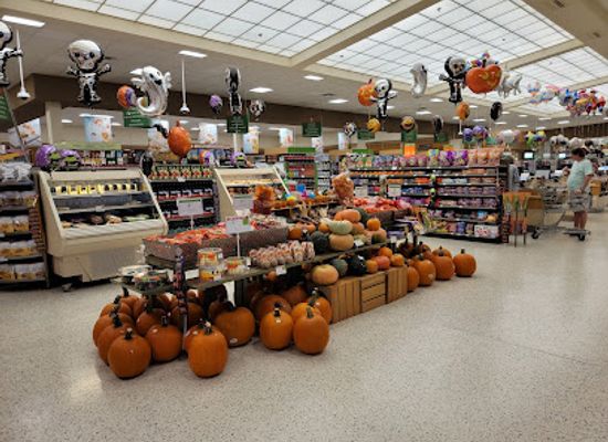 florida/homosassa-springs-wildlife-state-park/shop/publix-super-market-at-springs-plaza