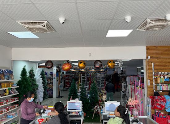 chile/norte-grande/shop/go-shopping-mall-chino