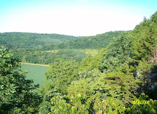 iowa/driftless-area/shop/yellow-river-state-forest