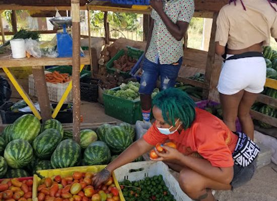 jamaica/treasure-beach/shop/bella-s-farm-store