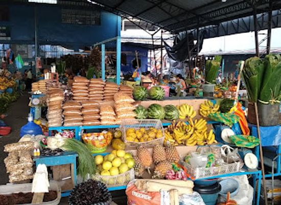ecuador/pastaza-region/shop/mercado-puyo-sector-amazonico