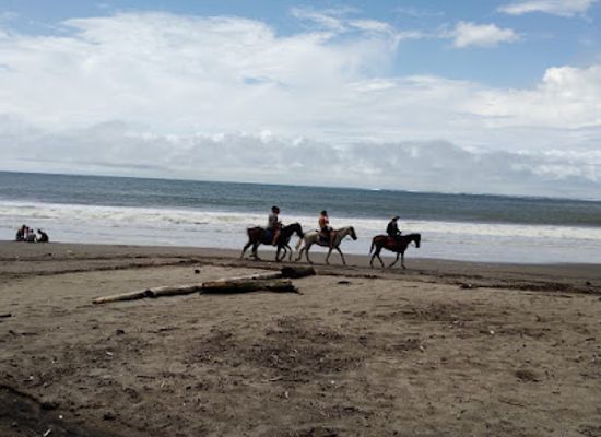 costa-rica/nicoya-peninsula/shop/tienda-acuna-aviles