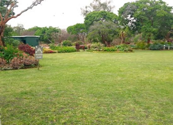zimbabwe/mashonaland-east/shop/zimbabwe-national-parks-and-wildlife-management