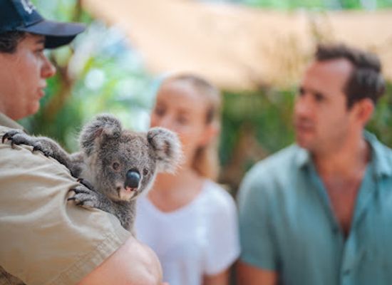 australia/whitsunday-islands/shop/hamilton-island-wildlife