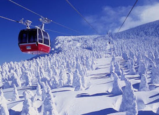 japan/zao-onsen/shop/yamagata-swallow-rental-service-kabu-zao-ten
