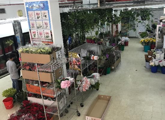 kuwait/hawalli/shop/flora-national-gen-trad-co-hawally