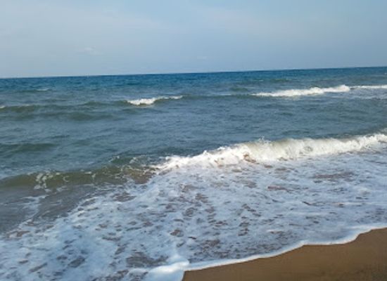 sri-lanka/mullaitivu-district/shop/s-p-s-sellappa-karavalaivaadi-fish-dryfish-found-here