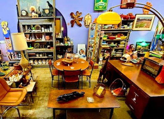 tennessee/knoxville/shop/pop-weasel-emporium