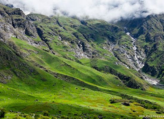 india/auli/shop/valley-of-flowers-national-park