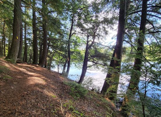 wisconsin/northern-highland/shop/parish-hills-segment-ice-age-trail-trailhead