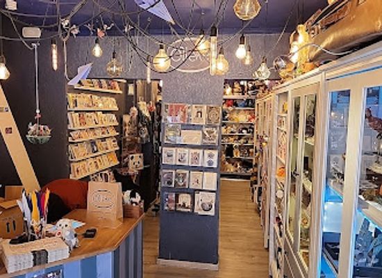 belgium/bruges/sint-anna/shop/olleke-wizarding-shop-brugge