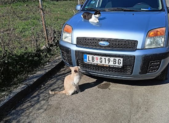 serbia/belgrade/shop/kreativni-suveniri