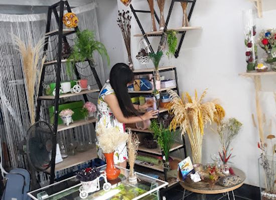 vietnam/mekong-delta/shop/thuy-sinh-n-t-garden