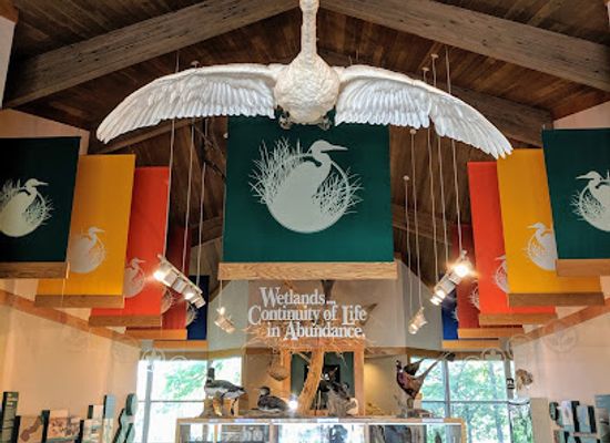 ohio/maumee-bay-state-park/shop/trautman-nature-center-at-maumee-bay-state-park
