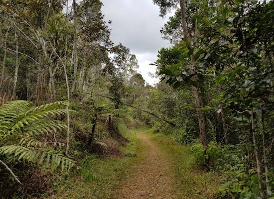 madagascar/andasibe-mantadia-national-park/shop/park-voimma