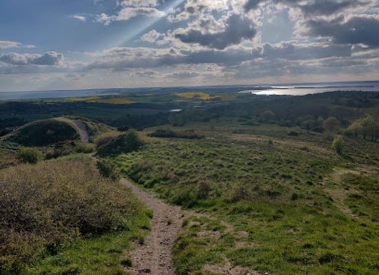 denmark/mols-bjerge-national-park/shop/mols