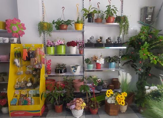 israel/bethlehem/shop/december