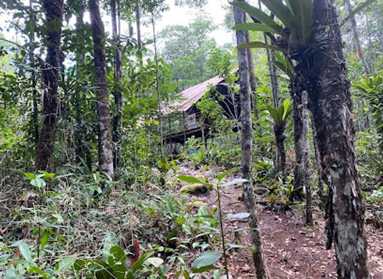 suriname/tafelberg-nature-reserve/shop/tafelberg