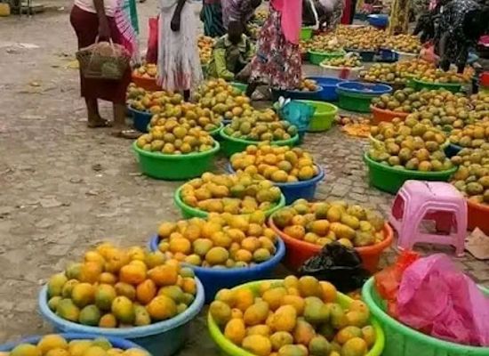 ethiopia/gambela-region/shop/gambella-national-park