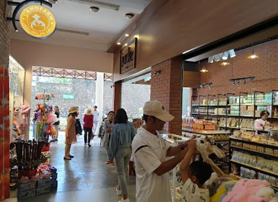 vietnam/dalat/tuyen-lam-lake/shop/cable-car-station