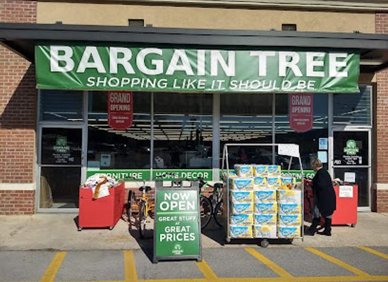 alabama/little-river-canyon/shop/bargain-bins-llc