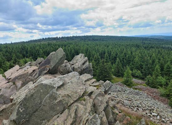 germany/harz-national-park/shop/wolfswarte