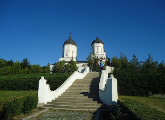 romania/dobrogea-plateau/shop/dobrogea-plateau