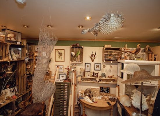 belgium/spa/shop/le-collectionneur-cabinet-de-curiosites