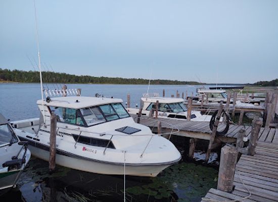 minnesota/lake-of-the-woods/shop/sean-s-birchview-resort