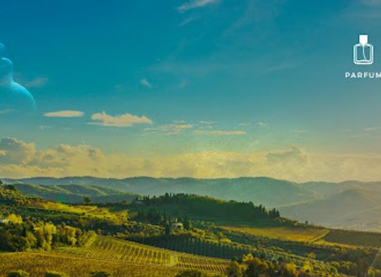 italy/chianti-classico/shop/note-del-chianti
