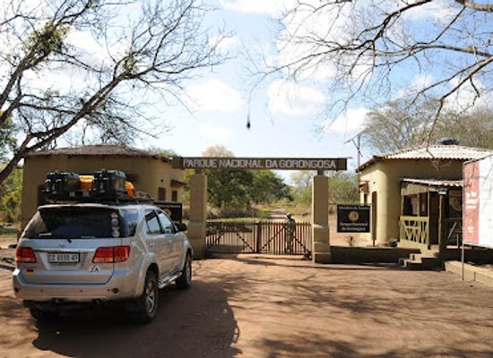 mozambique/gorongosa-national-park/shop/gorongosa-campsite