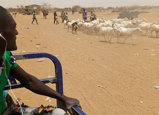 burkina-faso/gorom-gorom/shop/souq-al-bahaim-fi-ghroom-ghroom