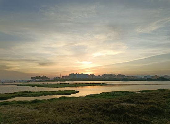 oman/salalah/shop/dareez-salalah-oman