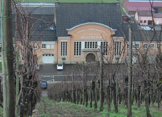 luxembourg/moselle-valley/shop/domaines-vinsmoselle-caves-des-vignerons-wellenstein