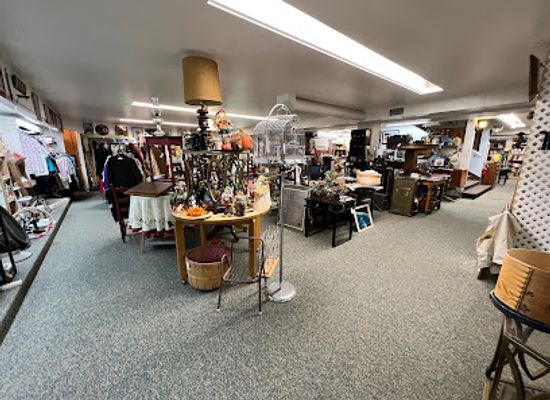 colorado/grand-junction/shop/a-robin-s-nest-of-antiques-treasures