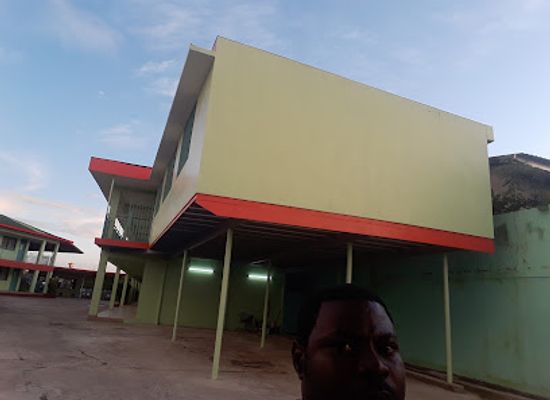 gabon/minkebe-national-park/shop/michel-montaigne