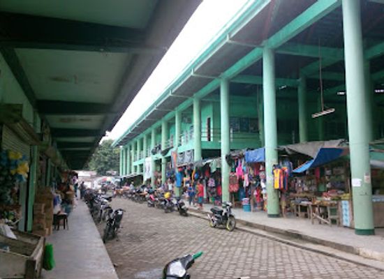 philippines/zamboanga-peninsula/shop/dumingag-public-market