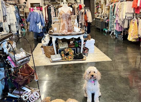 north-carolina/mooresville/shop/cozy-boutique