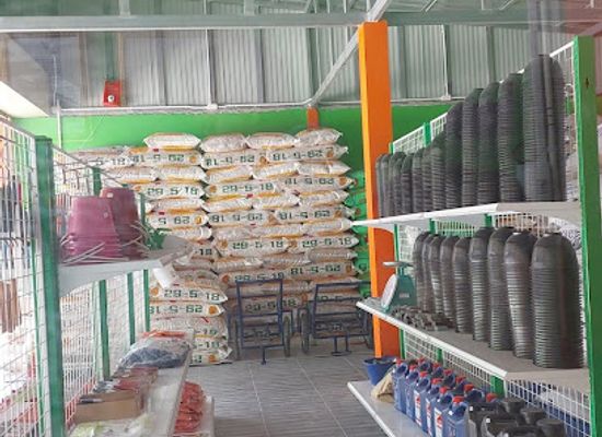 thailand/loei/shop/2882