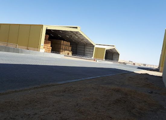 united-arab-emirates/liwa-oasis/shop/fooder-market
