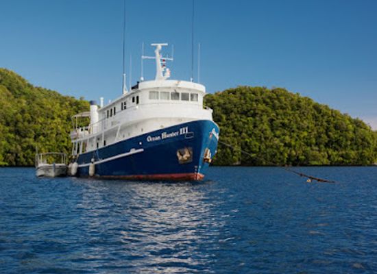 palau/helen-reef/shop/ocean-hunter-palau