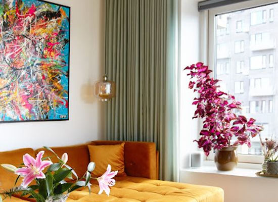 faroe-islands/tvoroyri/shop/botex-tvoroyri-colorama