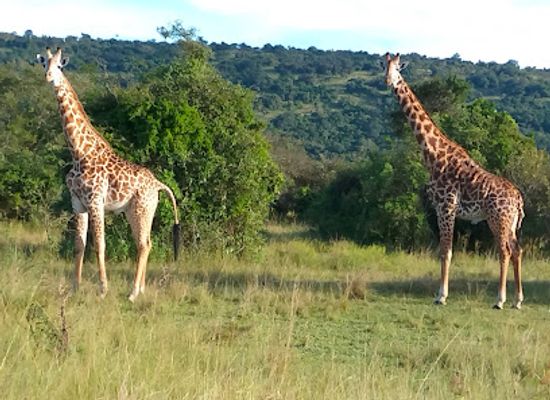 rwanda/akagera-national-park/shop/akagera-guide-s-house