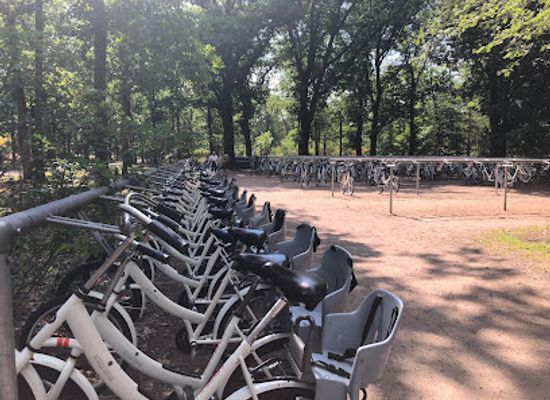 netherlands/veluwe-national-park/shop/ingang-hoenderloo-nationaal-park-de-hoge-veluwe