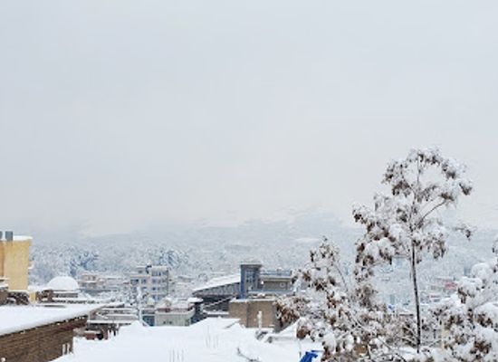 afghanistan/kabul/shar-e-naw/shop/shahr-naw