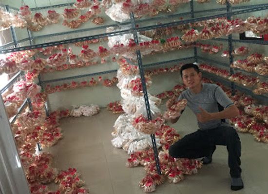 laos/vientiane/shop/haan-khobma-ranakon-kong-luang