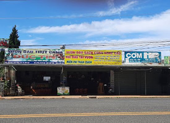 vietnam/dalat/valley-of-love/shop/cua-hang-dac-san-da-lat-duc-tin