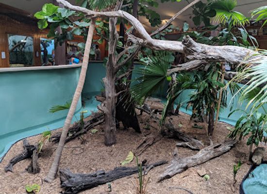 south-carolina/edisto-island/shop/edisto-island-serpentarium