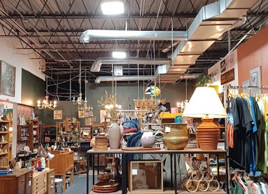 minnesota/southeastern-minnesota/shop/wild-things-antiques